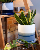 Chive Minute fully glazed large ceramic planter pot in color blue layers styled with a snake plant on a wood ladder indoor.