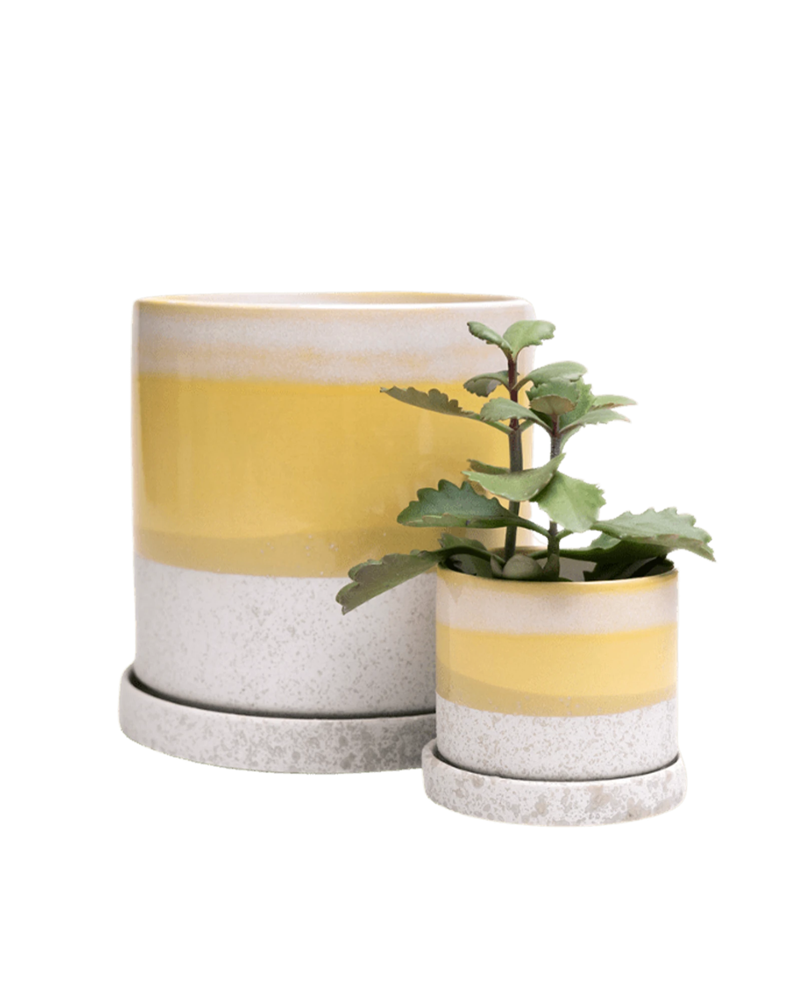 Two Chive Minute boombastic ceramic pots with drainage and detachable saucers in size small and large.