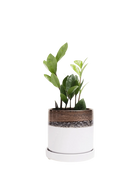 Chive Minute medium bronze white ceramic pot with drainage and saucer styled with a plant.