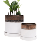 Two Chive Minute bronze white ceramic pots with drainage and detachable saucers in size small and medium styled with a plant.