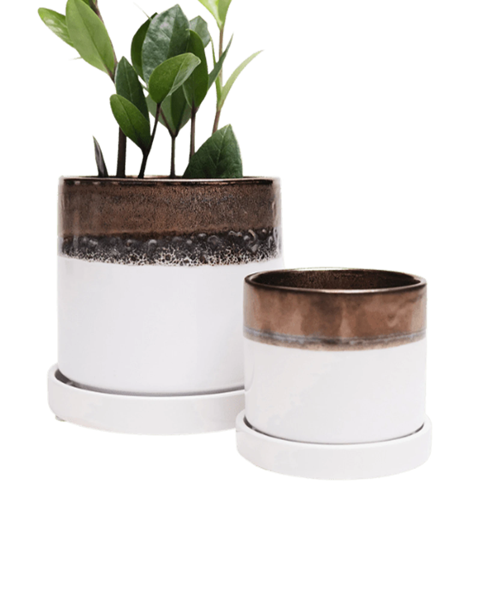 Two Chive Minute bronze white ceramic pots with drainage and detachable saucers in size small and medium styled with a plant.