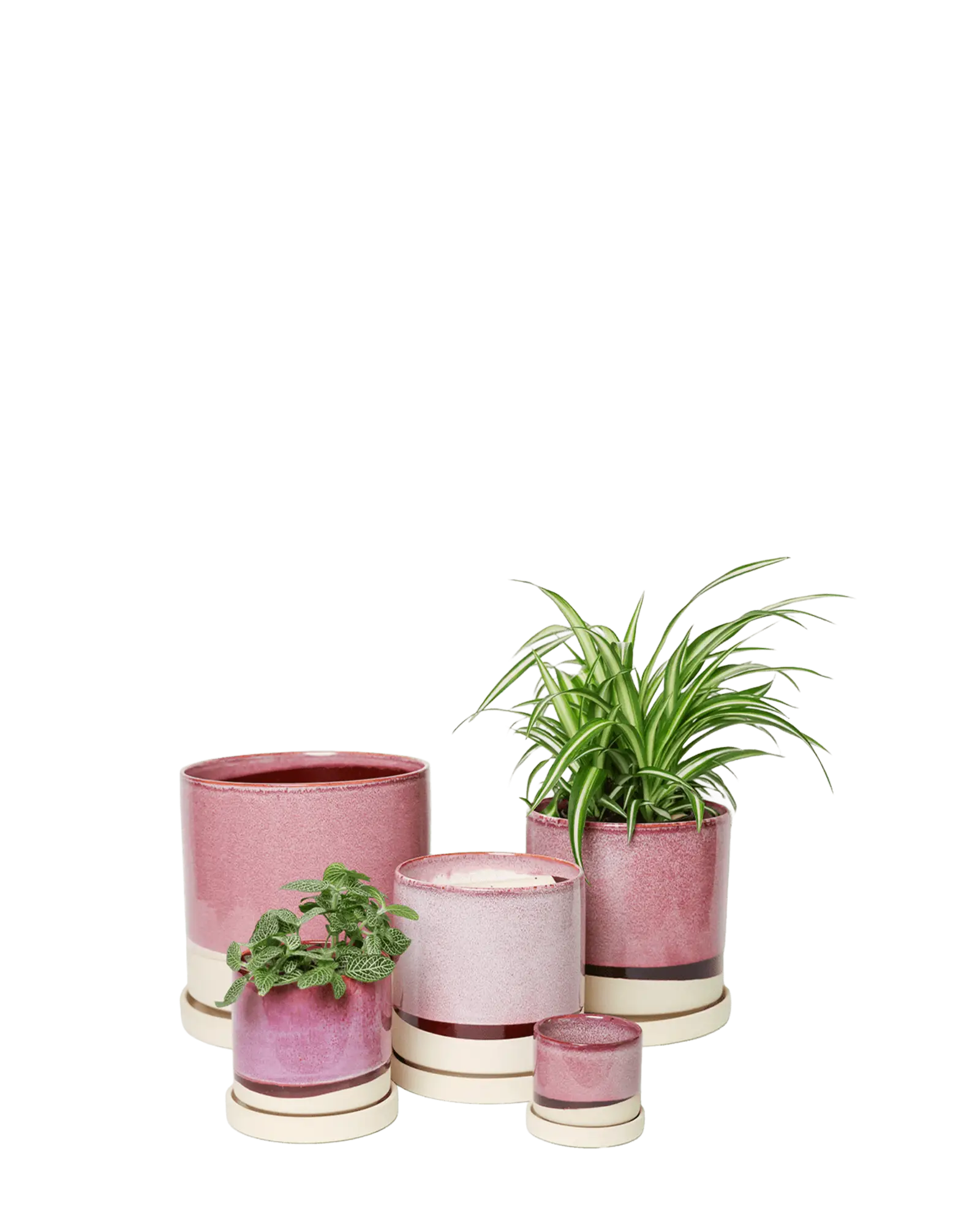 Chive Minute burgundy glazed ceramic planters in mini, small, medium, and large sizes.