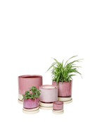 Chive Minute burgundy glazed ceramic planters in mini, small, medium, and large sizes.