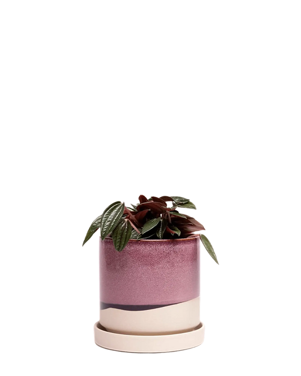 Minute Large Ceramic Pot with Drainage Hole and Saucer, Burgundy