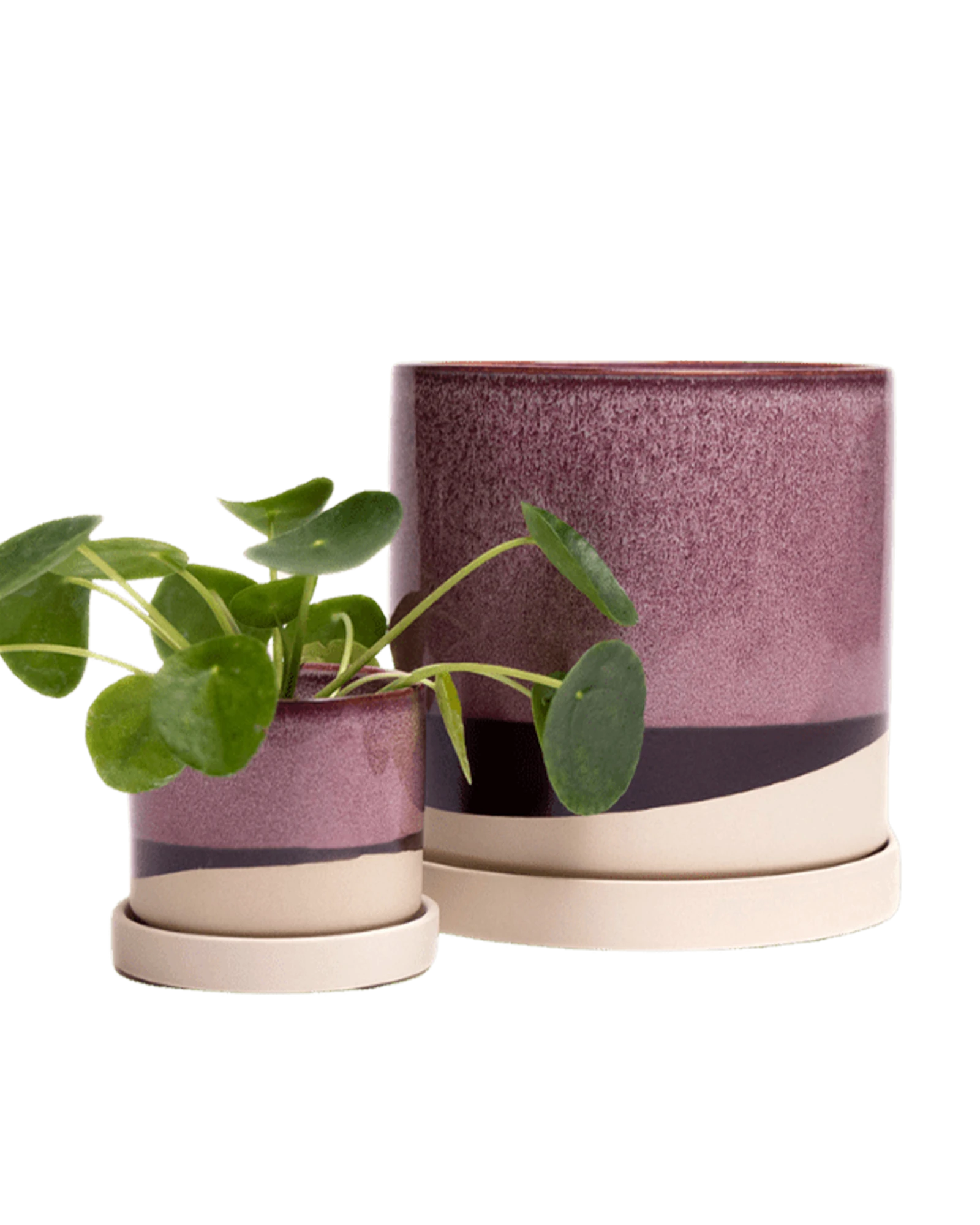 Two Chive Minute burgundy ceramic pots with drainage and detachable saucers in size small and large.