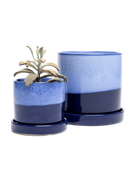 Two Chive Minute cobalt blue ceramic pots with drainage and detachable saucers in size medium and large.