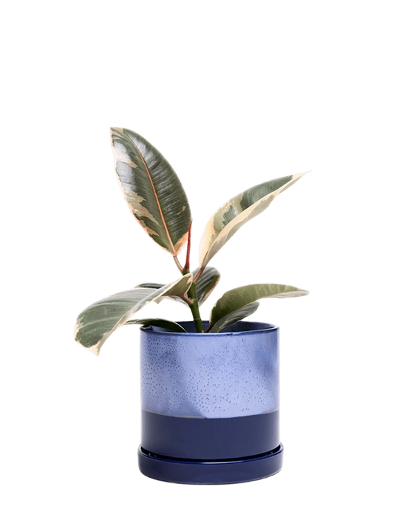 Minute Large Ceramic Pot with Drainage Hole and Saucer, Cobalt Blue