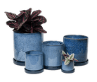 Chive Minute cosmos glazed ceramic planters in mini, small, medium, and large sizes, styled with a plant.