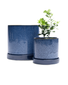 Two Chive Minute cosmos ceramic pots with drainage and detachable saucers in size medium and large.