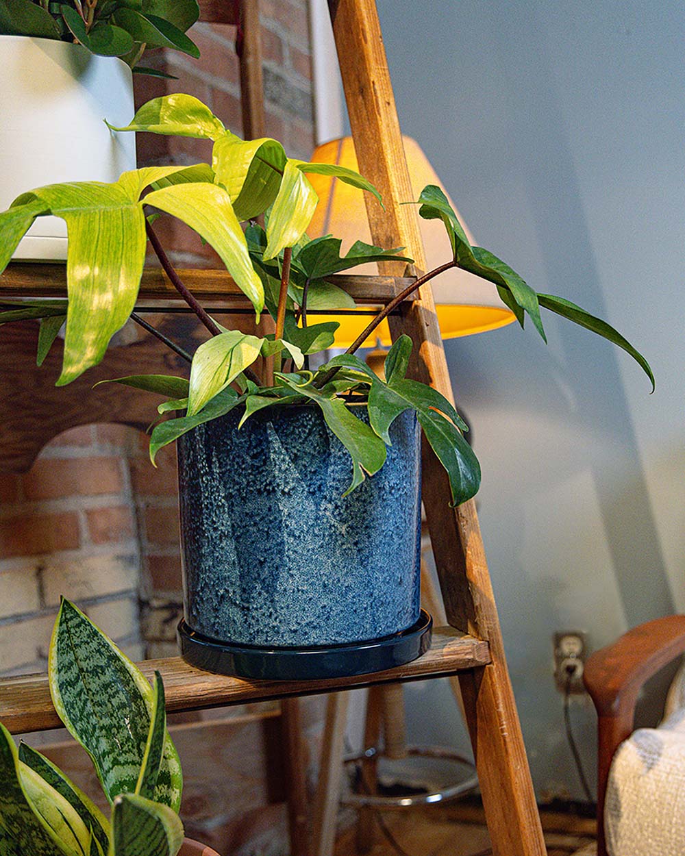 Chive Minute large cosmos ceramic pot styled with a plant on a woodden ladder indoor.