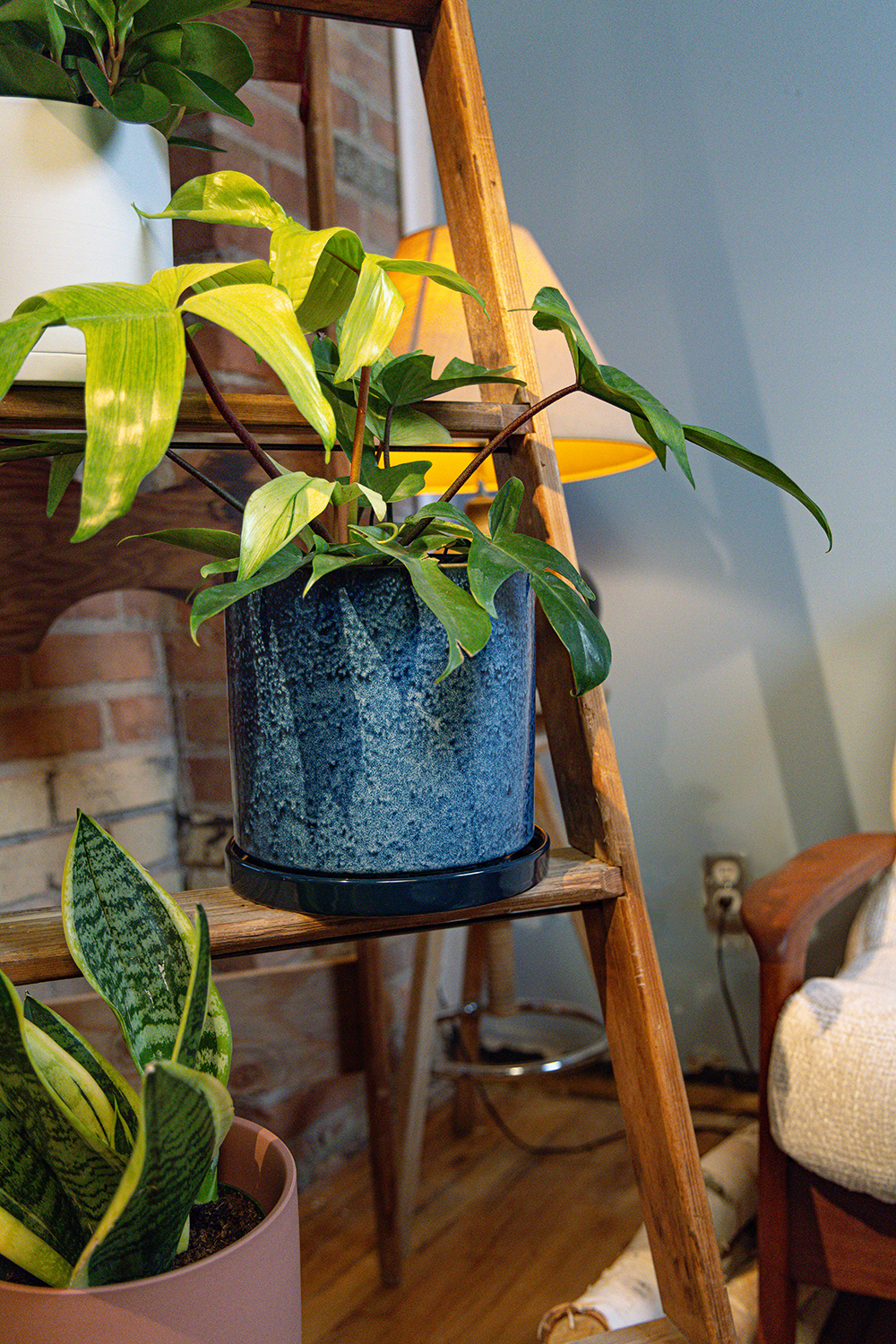 Chive Minute large cosmos ceramic pot styled with a plant on a woodden ladder indoor.