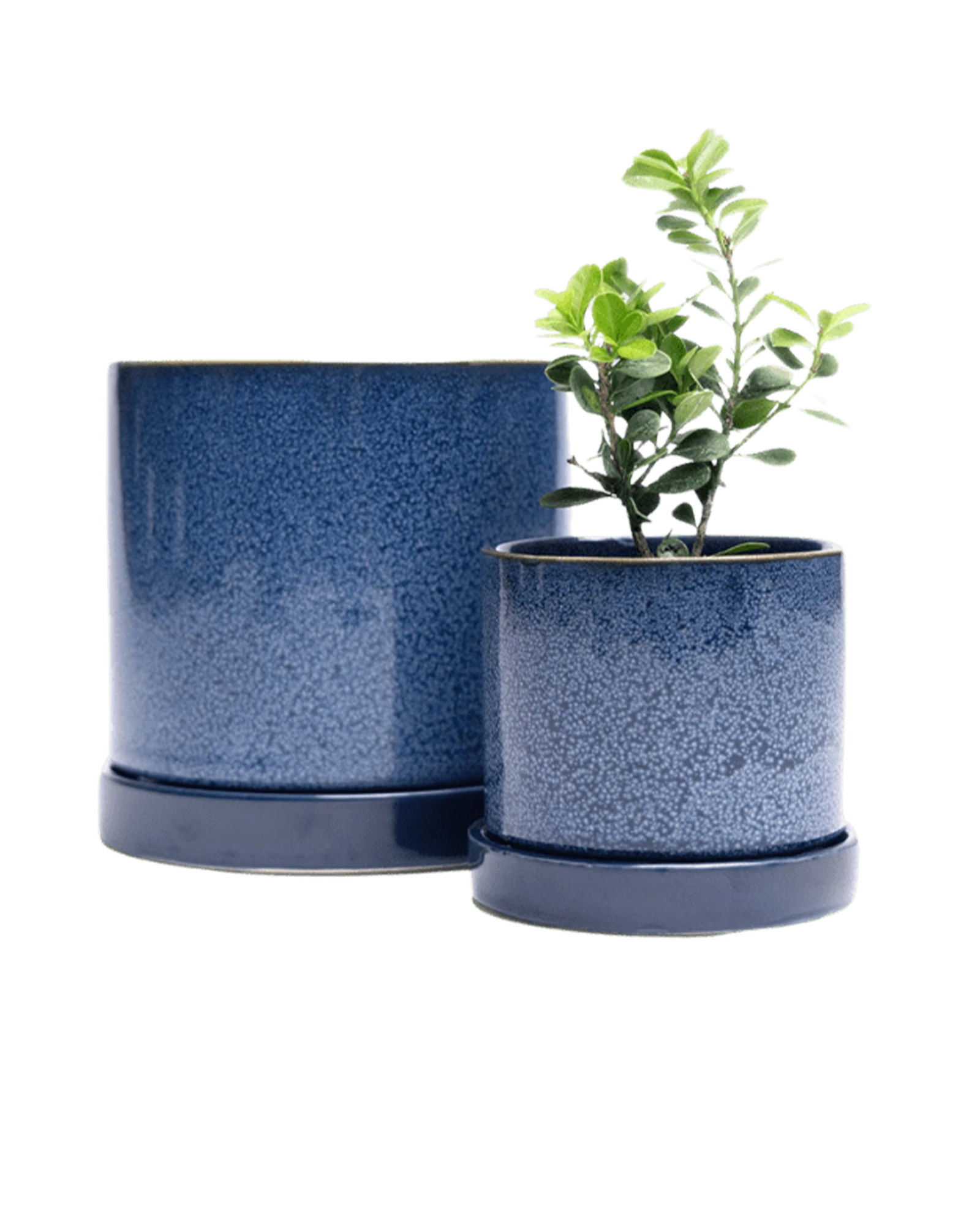 Two Chive Minute cosmos ceramic pots with drainage and detachable saucers in size small and medium styled with a plant.
