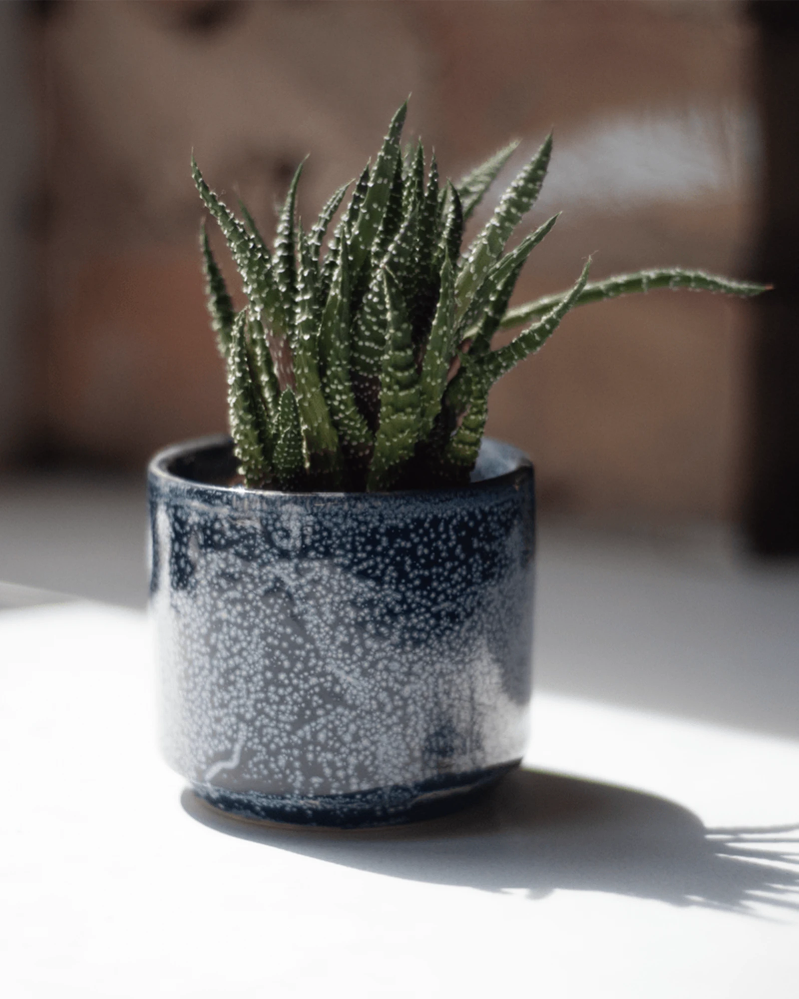 Chive Minute small cosmos ceramic pot styled with a small houseplant, displayed on a white table in bright lighting.