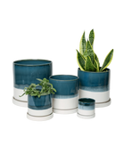 Chive Minute green blue fully glazed ceramic planter pots in multiple sizes styled with plants.