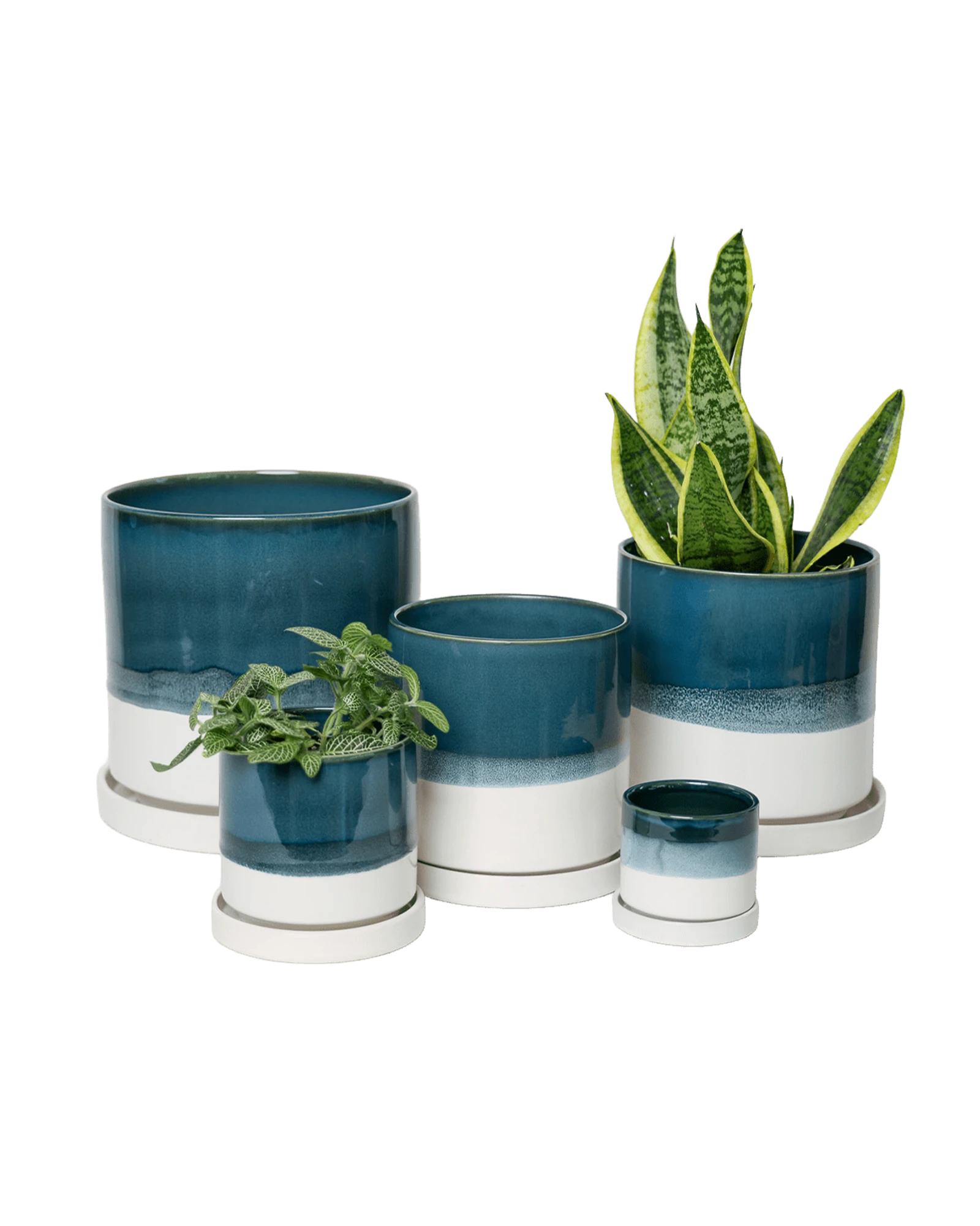Chive Minute green blue fully glazed ceramic planter pots in multiple sizes styled with plants.