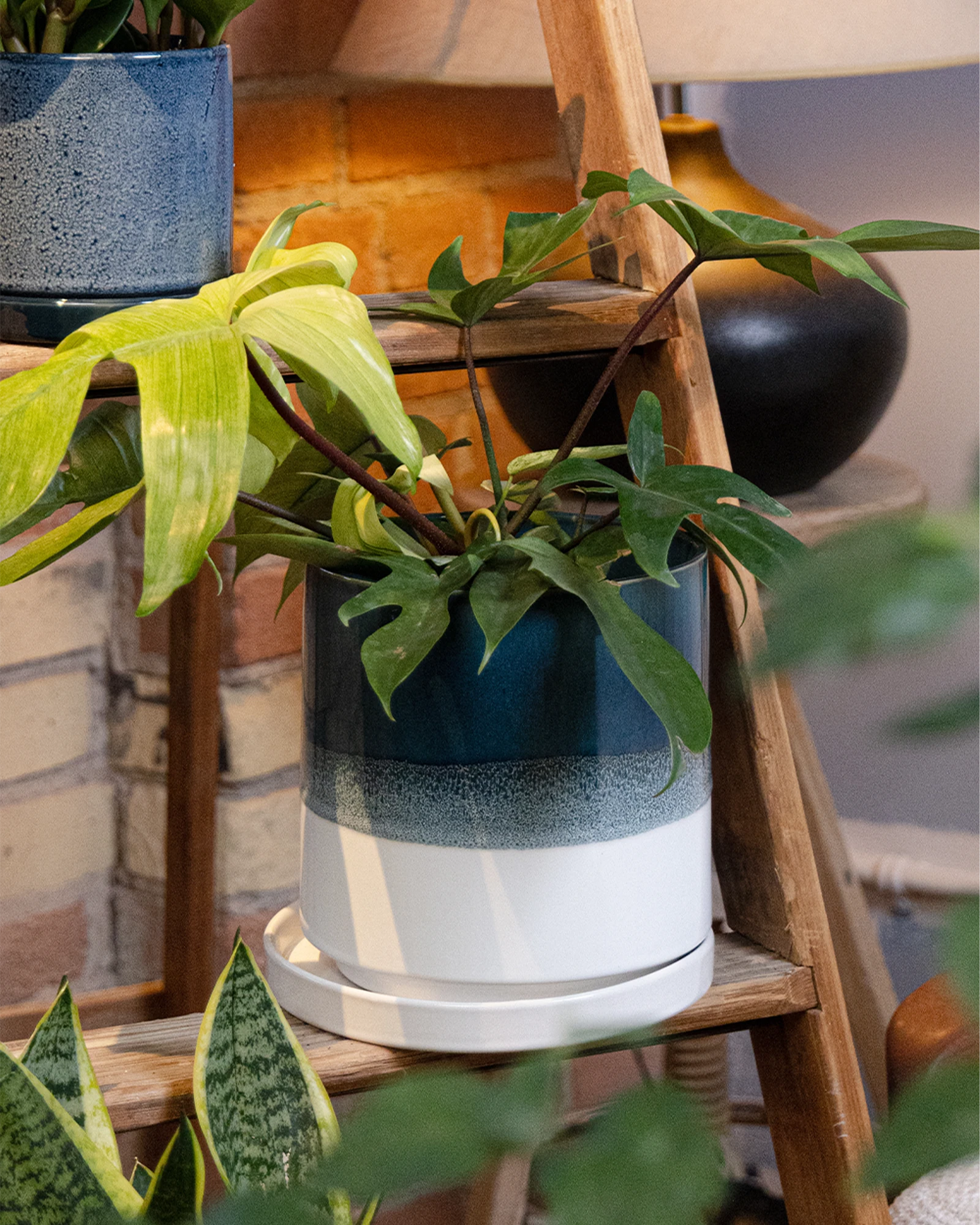 Chive Minute large green blue fully glazed ceramic planter pot styled with a plant on a wood ladder indoor.