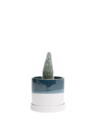 Chive Minute medium green-blue ceramic pot with drainage and saucer styled with a cactus plant.