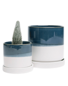 Two Chive Minute green blue ceramic pots with drainage and saucers in size small and medium styled with a cactus plant.
