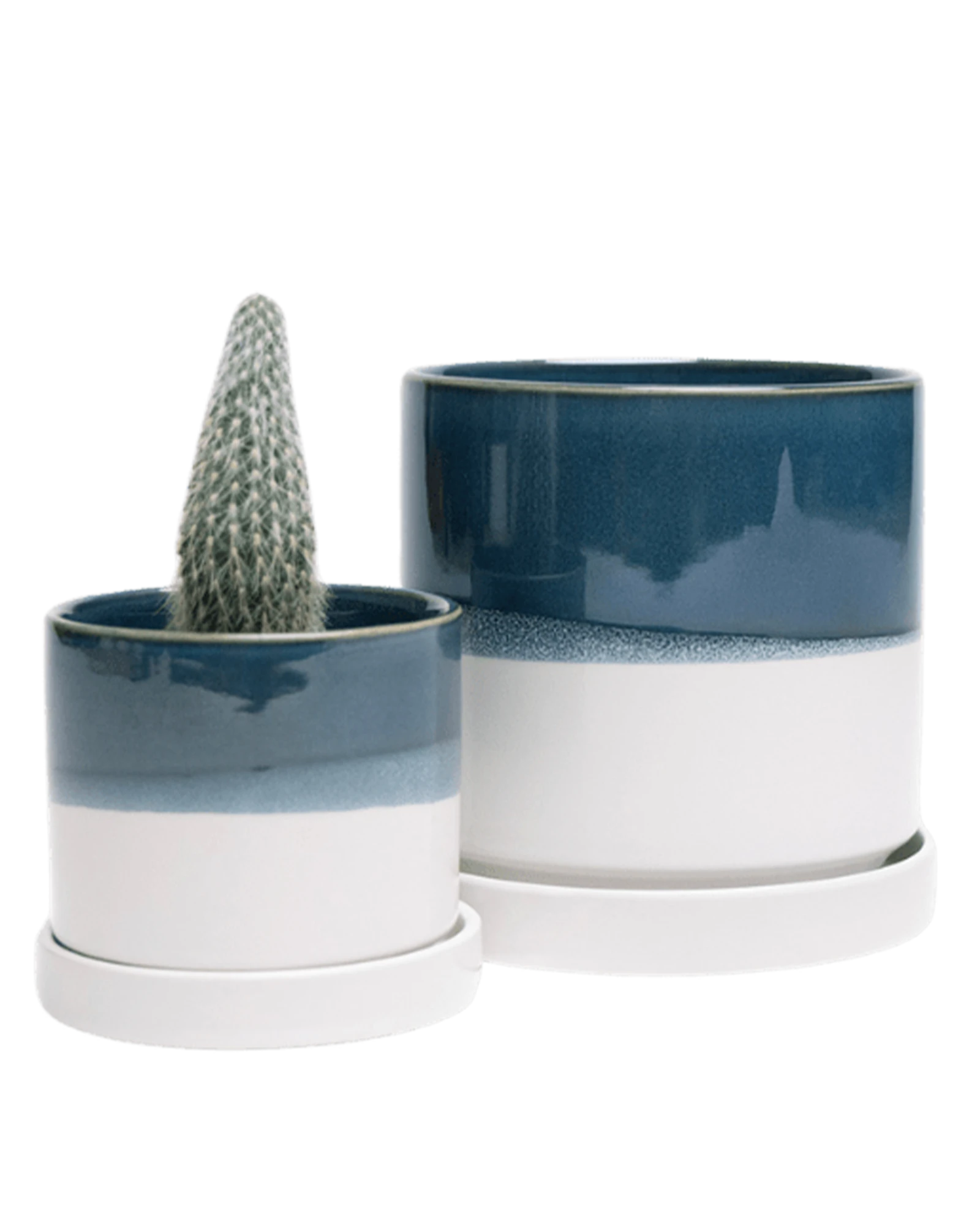 Two Chive Minute green blue ceramic pots with drainage and detachable saucers in size small and medium styled with a cactus.
