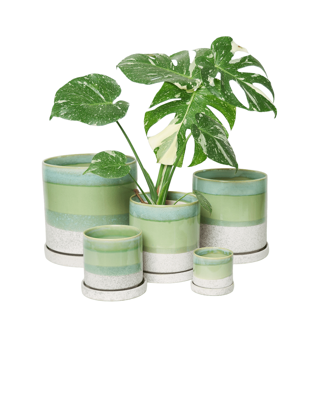 Chive Minute green cement glazed ceramic planters in mini, small, medium, and large sizes styled with a monstera.