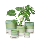 Chive Minute green cement glazed ceramic planters in mini, small, medium, and large sizes styled with a monstera.