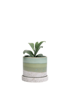 Chive Minute large green cement ceramic pot with drainage and saucer styled with a plant.