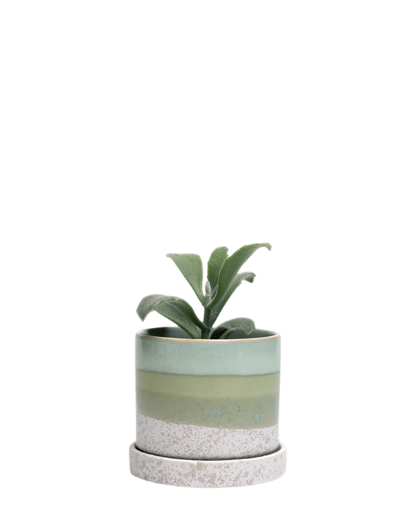 Minute Medium Ceramic Pot with Drainage Hole and Saucer, Green Cement
