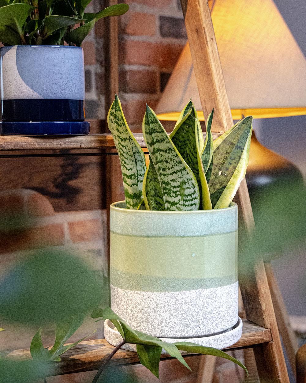 Large Minute Ceramic Pots & Saucer | 6", 7" & 8" Indoor Planter - Chive Ceramics Studio - Pots - Chive Ceramics Studio