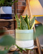 Large Minute Ceramic Pots & Saucer | 6", 7" & 8" Indoor Planter - Chive Ceramics Studio - Pots - Chive Ceramics Studio