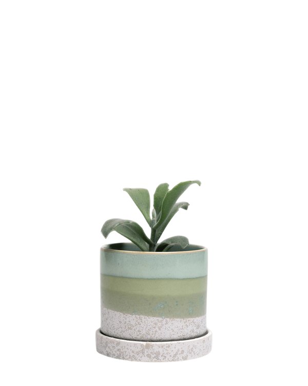 Chive Minute medium green cement ceramic pot with drainage and saucer styled with a plant.