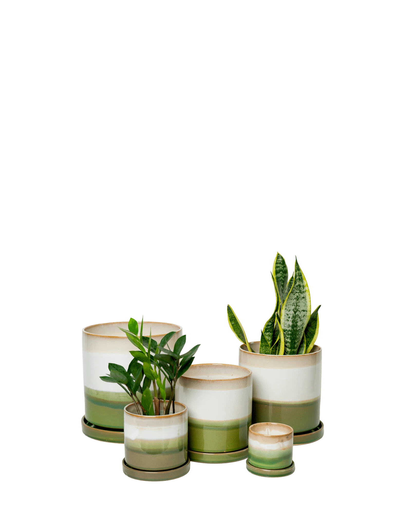 Chive Minute green layers glazed ceramic planters in multiple sizes with drainage and saucer styled with plants.