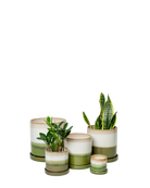 Chive Minute green layers glazed ceramic planters in multiple sizes with drainage and saucer styled with plants.
