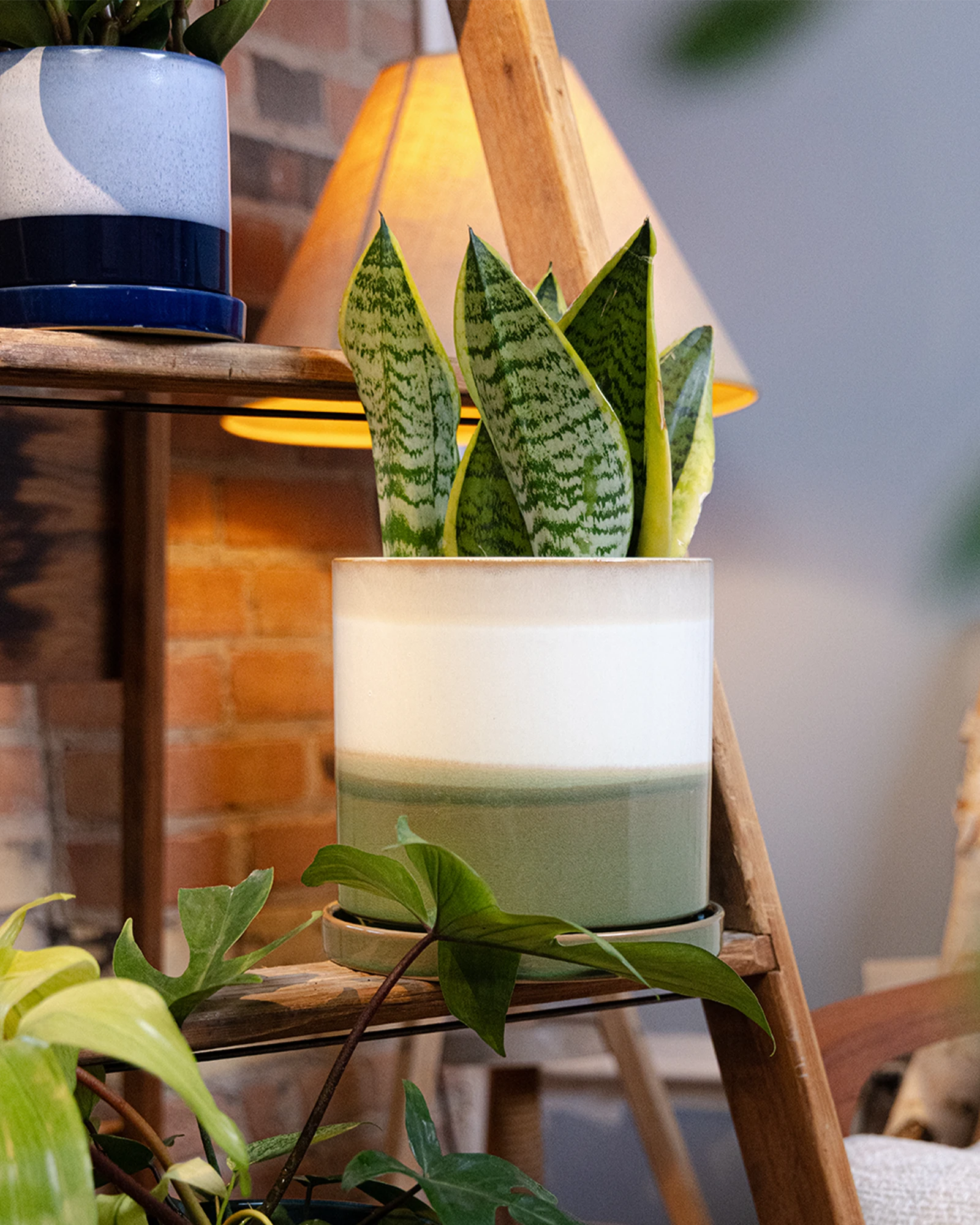 Chive Minute green layers fully glazed ceramic large planter styled with a snake plant on a wooden ladder indoor.