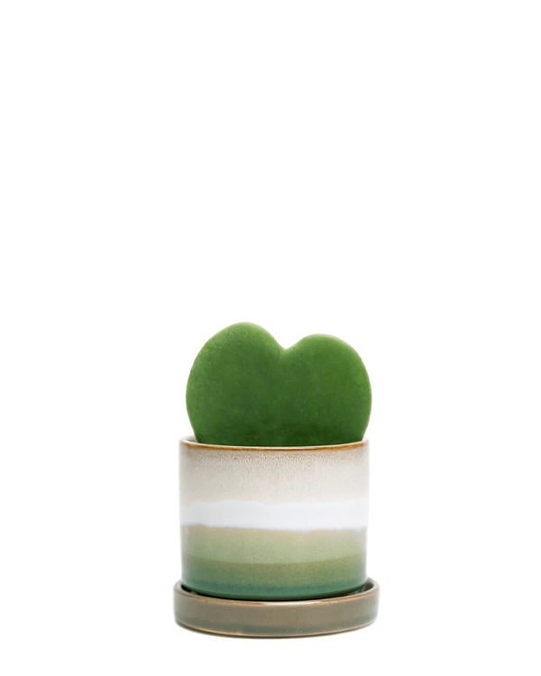 Minute Medium 5 inch Plant Pot, Green Layers