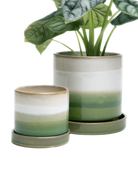 Two Chive Minute green layers ceramic pots with drainage and saucers in size small and medium styled with a plant.