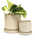 Two Chive Minute ivory speckles ceramic pots with drainage and detachable saucers in size small and medium styled with a plant.