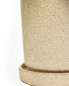 Close-up of the Chive Minute medium ivory speckles ceramic pot showing the color and glaze finish.