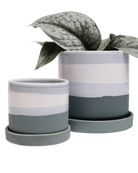 Two Chive Minute matte green ceramic pots with drainage and detachable saucers in size small and medium styled with a plant.