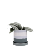 Chive Minute matte green ceramic pots with drainage and saucers styled with a plant.