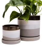 Two Chive Minute mocha cement ceramic pots with drainage and detachable saucers in size small and medium styled with a pothos.