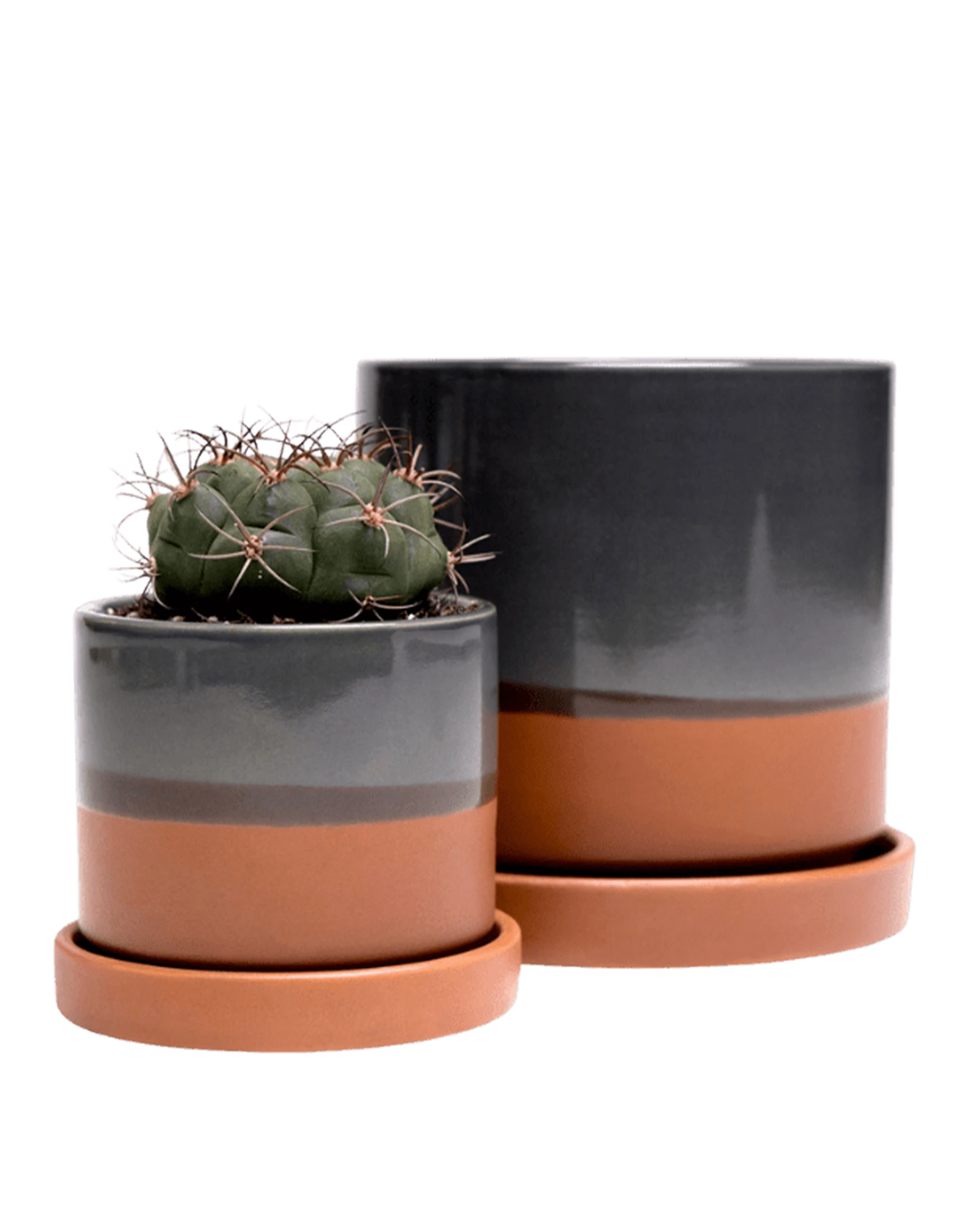 Two Chive Minute bronze ceramic pots with drainage and detachable saucers in size small and medium styled with a cactus.
