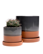 Two Chive Minute terracotta color ceramic pots with drainage and saucers in size small and medium styled with a cactus.