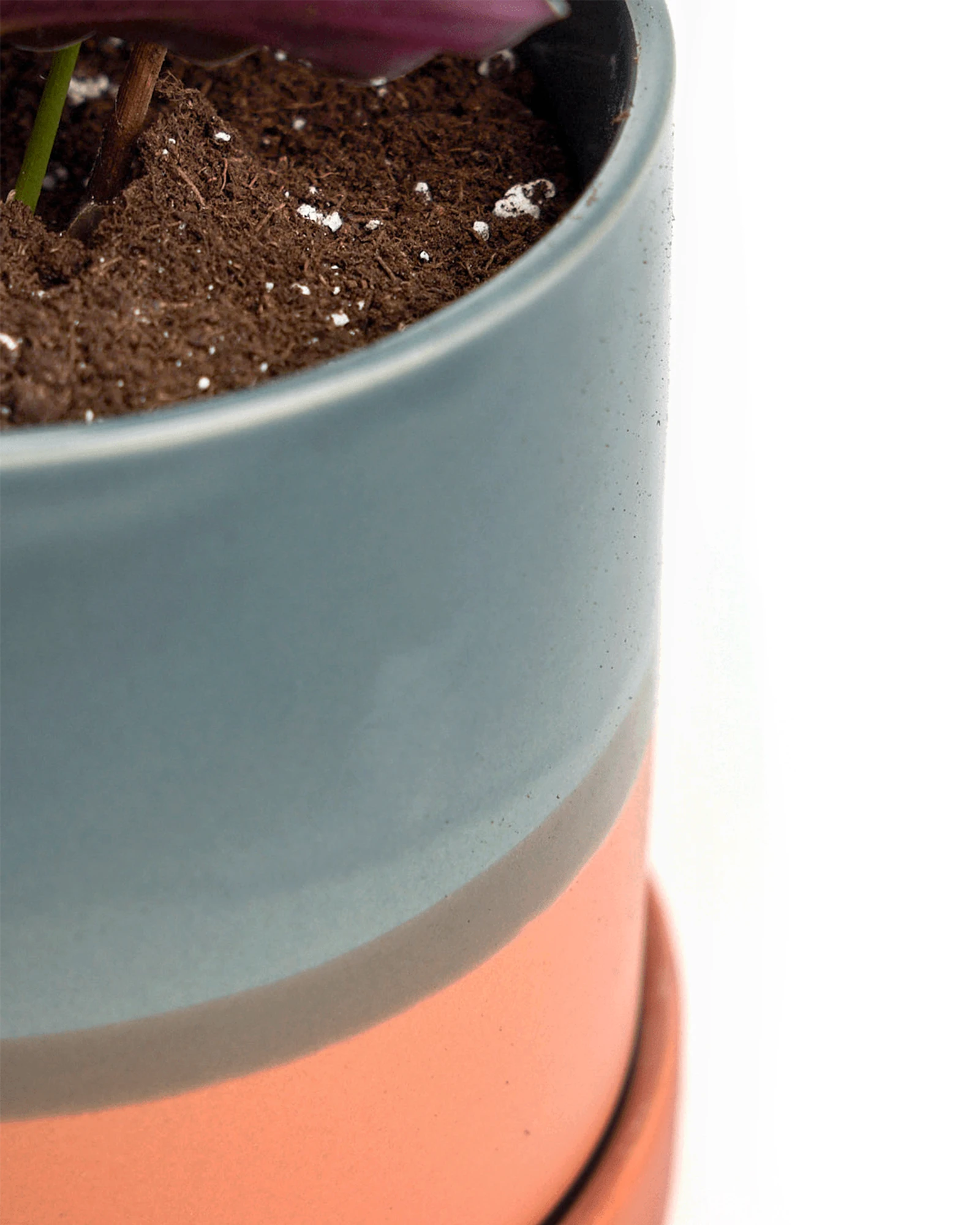 Close-up of the Chive Minute small terracotta ceramic pot showing color and glaze finish.