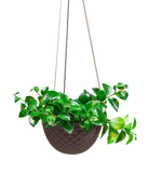 Chive Mofo large black ceramic hanging pot with diamond texture, with a trailing plant.