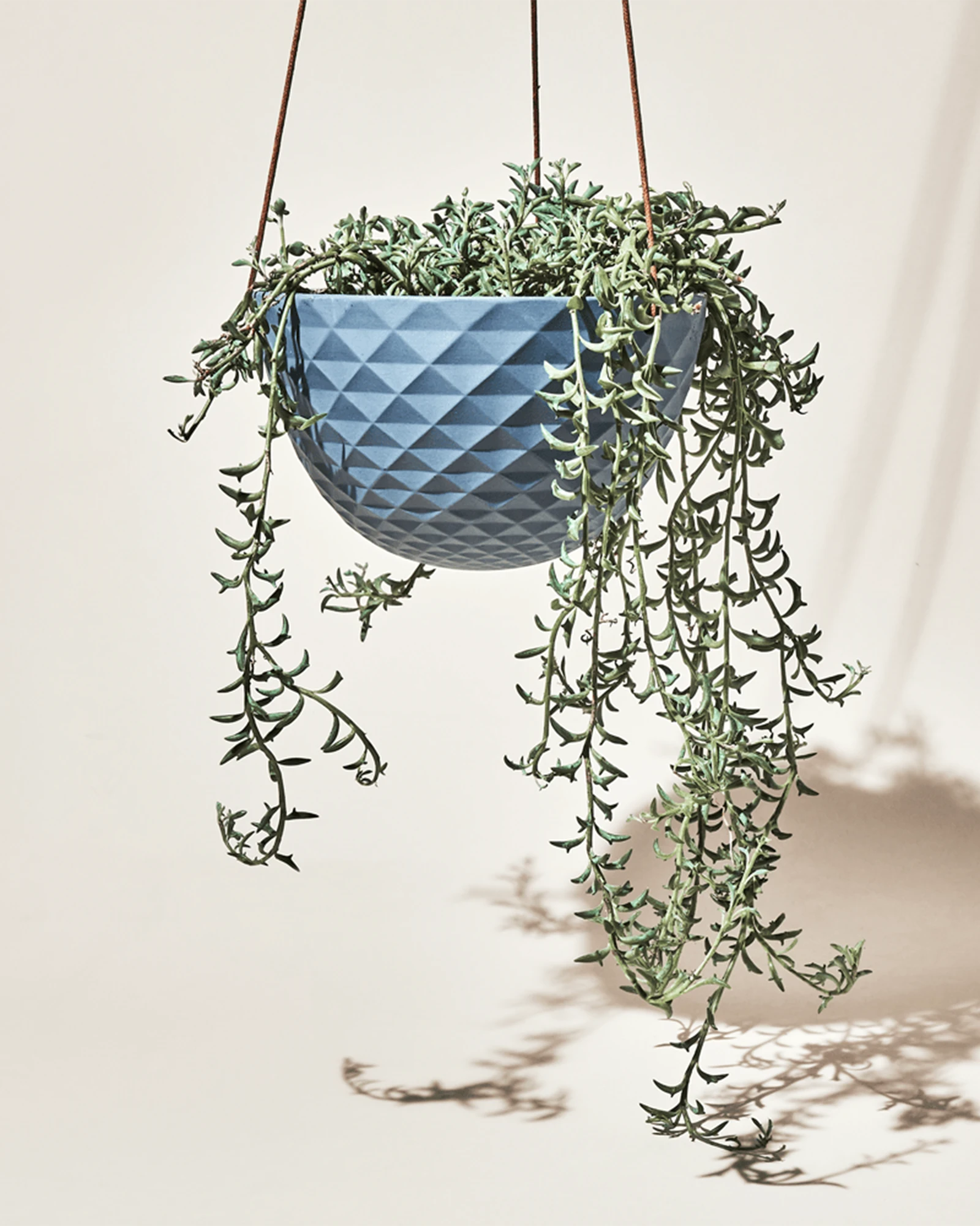 Chive Mofo blue grey porcelain hanging planter with no drainage styled with a trailing plant.