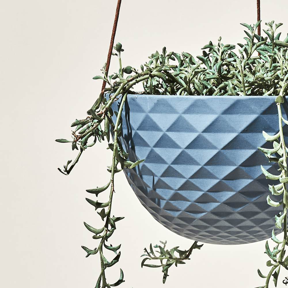 Close up of Chive Mofo blue grey porcelain hanging planter with no drainage styled with a trailing plant.