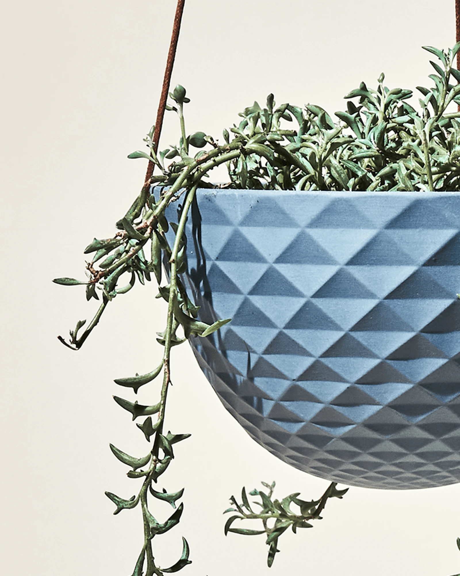 Close up of Chive Mofo blue grey porcelain hanging planter with no drainage styled with a trailing plant.