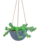 Chive Mofo mini blue grey porcelain hanging planter with no drainage styled with a plant.