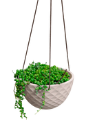 Chive Mofo mini white porcelain hanging planter with no drainage styled with a trailing plant.