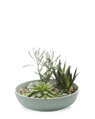 Chive Moog porcelain succulent garden dish in peacock green styled with succulents.